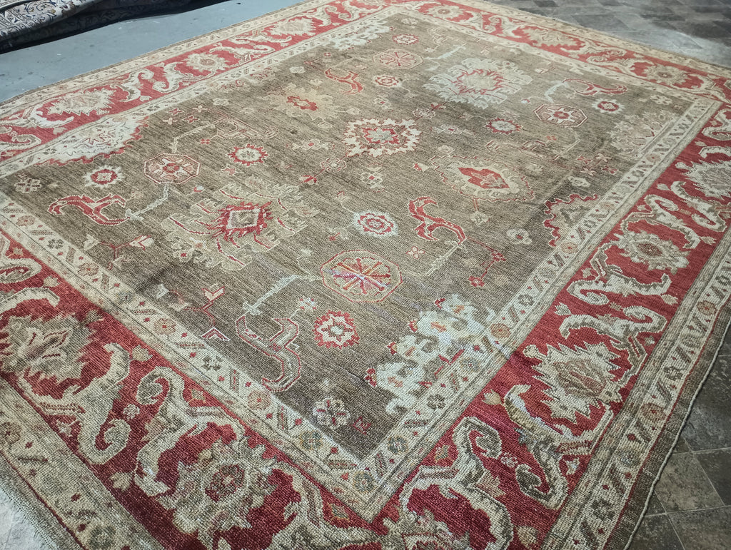 9.5 x 12.0 Chobi Peshawar Ziglar Rug OLIVE #F-6148