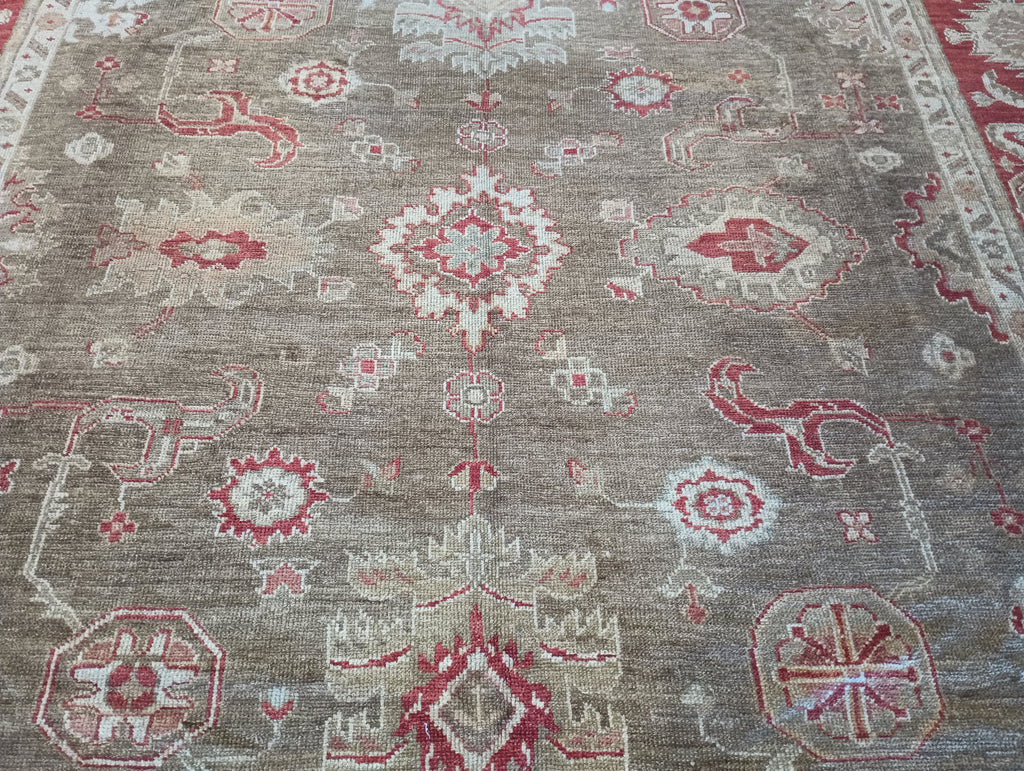 9.5 x 12.0 Chobi Peshawar Ziglar Rug OLIVE #F-6148