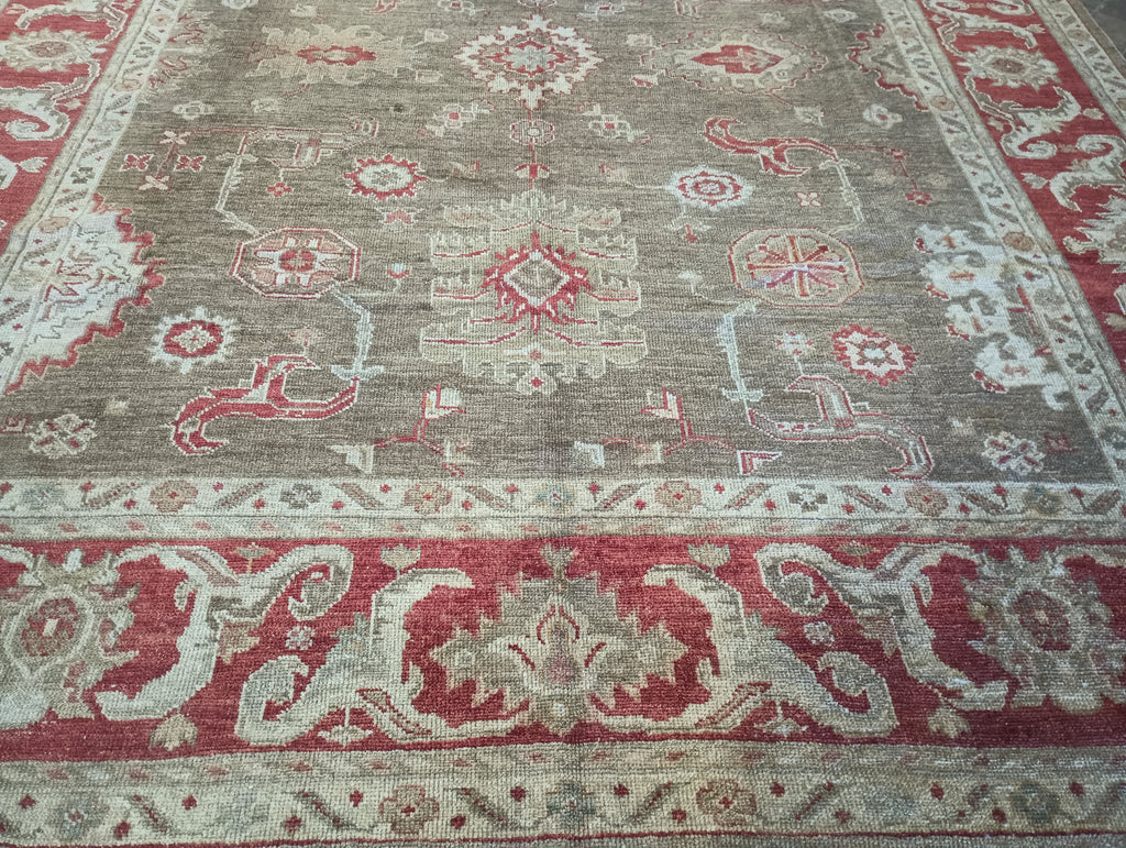 9.5 x 12.0 Chobi Peshawar Ziglar Rug OLIVE #F-6148