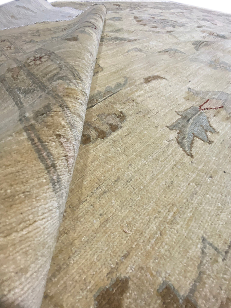 13.9 x 15.7 SQUARISH Beige Chobi Peshawar Large Rug 15455