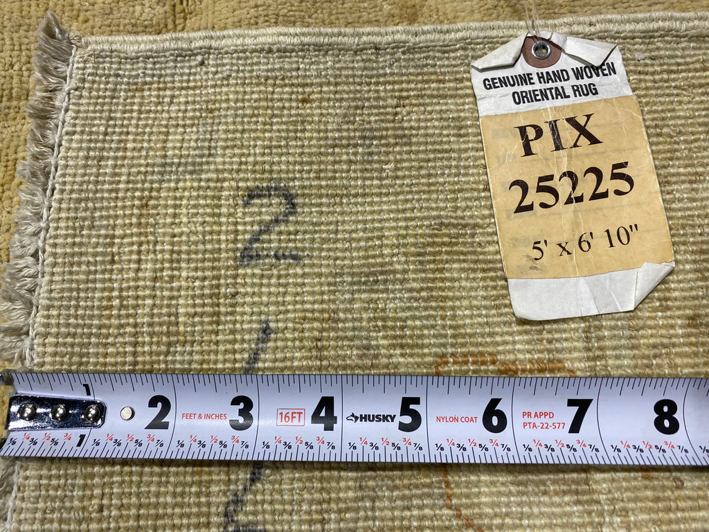 5.0 x 6.10 Fine Ziglar Rug NEUTRAL #PIX-25225
