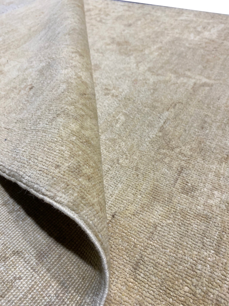 5.0 x 6.10 Fine Ziglar Rug NEUTRAL #PIX-25225