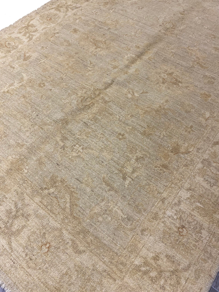 5.0 x 6.10 Fine Ziglar Rug NEUTRAL #PIX-25225