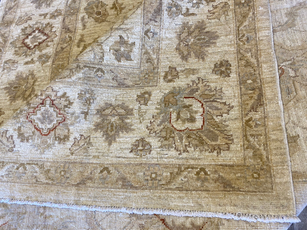 6.3 x 9.9 Pleasant Handmade New Rug #PIX-20234