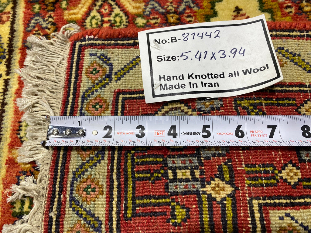 3.11 x 5.5 Salmon Red Persian Hamadan Rug 81442