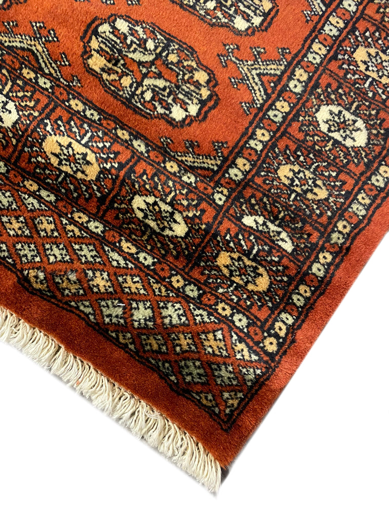 2.6 x 13.10 Bokhara Longer 14 Foot Runner Rug #PIX-29851