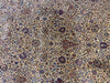 Load image into Gallery viewer, 10 x 14.8 Super Fine Weave Quality Wool  Lavar Rug #F-6855