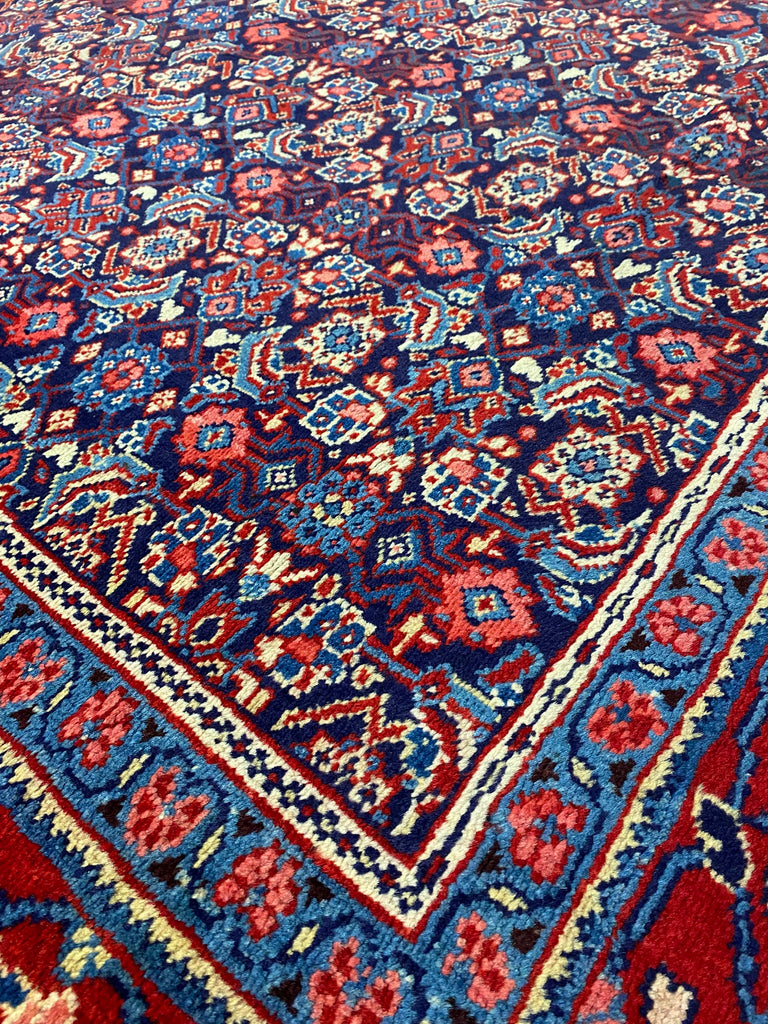 8.9 x 12.5 Persian Tabriz Rug Handmade Wool Mahi Herati IRAN  #F-6931