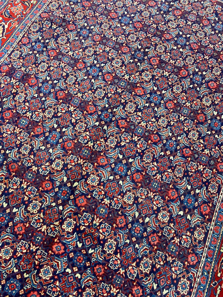 8.9 x 12.5 Persian Tabriz Rug Handmade Wool Mahi Herati IRAN  #F-6931