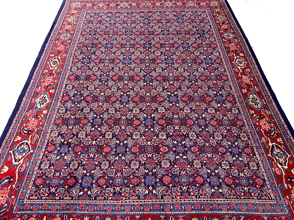 8.9 x 12.5 Persian Tabriz Rug Handmade Wool Mahi Herati IRAN  #F-6931