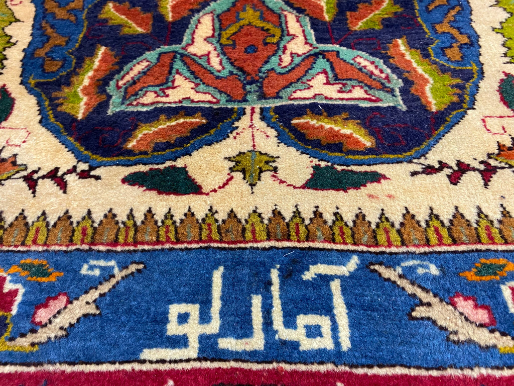 9.9 x 13.0 Persian Kashmar Rug Exotic Zirkhaki Iran Carpet  #F-6933