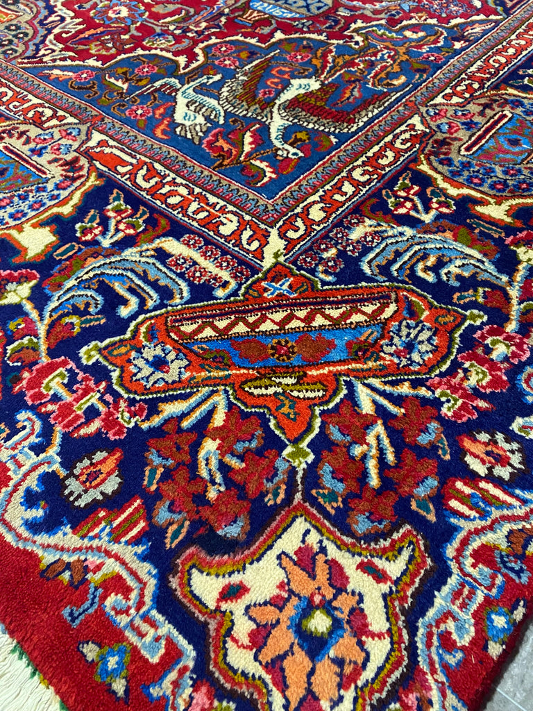 9.8 x 12.7 Amazing Exotic Pattern Persian Kashmar Rug  #F-6934