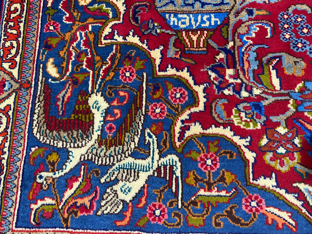 9.8 x 12.7 Amazing Exotic Pattern Persian Kashmar Rug  #F-6934