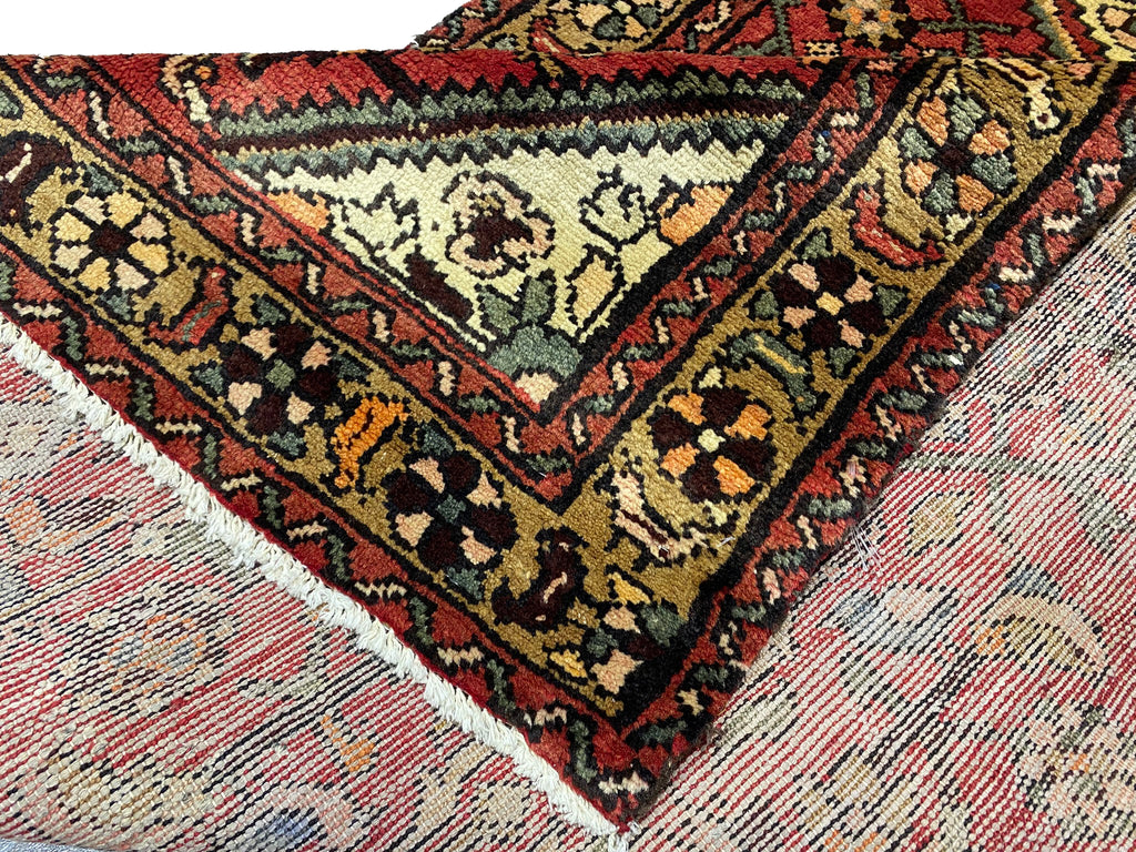 3.6 x 9.9 Persian Tribal Hamadan  Wool Runner #F-6945