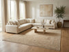 Load image into Gallery viewer, 10 x 14 Netural Colors Handmade Ziegler Rug Light Brown #F-3334
