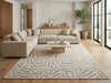 Load image into Gallery viewer, 9.3 x 13.7 Great Handmade Modern Rug Carved Raised Natural Wool Pile Ivory #F-3319