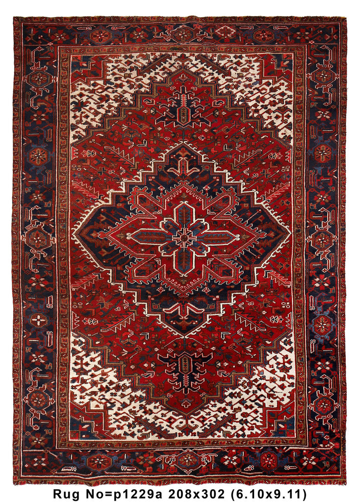 6.10 x 10.0 Persian Heriz Rug Iran Ethnic carpet #P1229