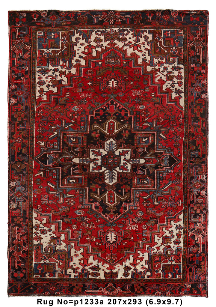 6.9 x 9.7 Persian Heriz rug Handmade Iran #P1233