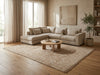 Load image into Gallery viewer, 8.6 x 10 Beautiful Contemporary Rug Handmade Imported Organic Wool Neutrals Color#F-3310