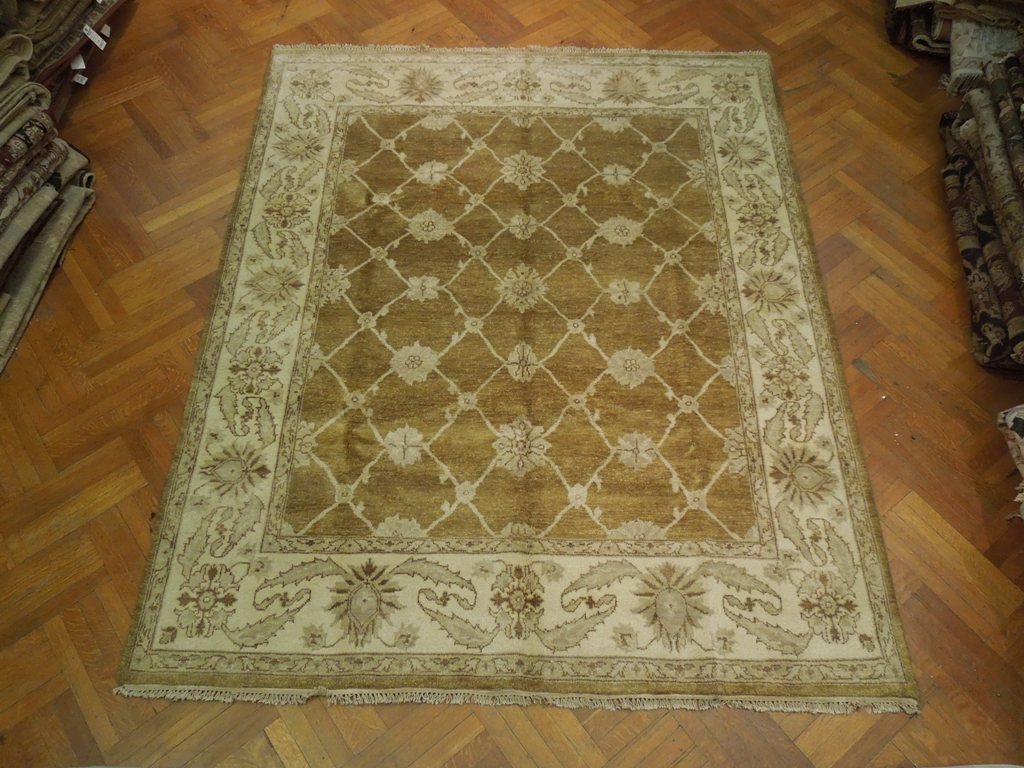 8 x 9.8 New Hand-Knotted Agra Rug Transitional Olive #PIX-20031