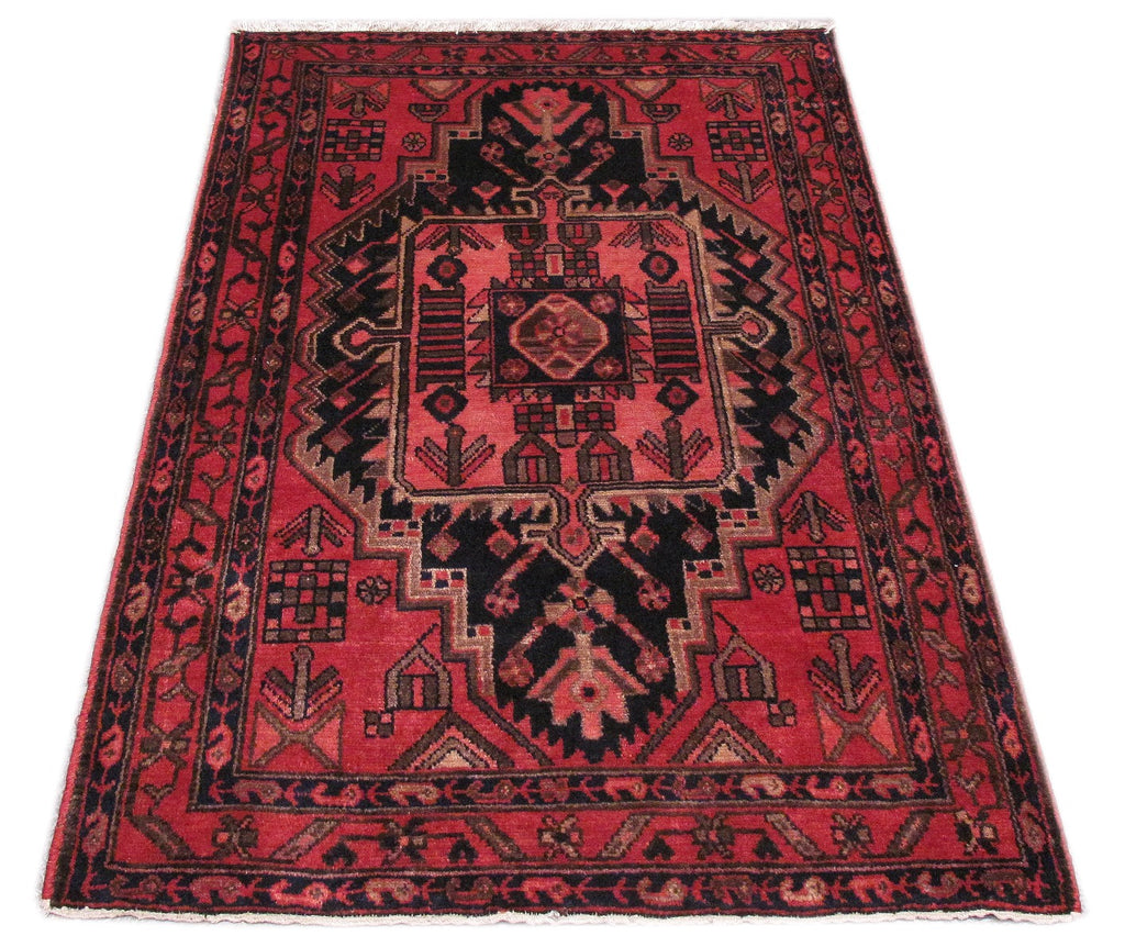 3.5 x 5 Iran Tribal Hamadan Rug #PIX-82676