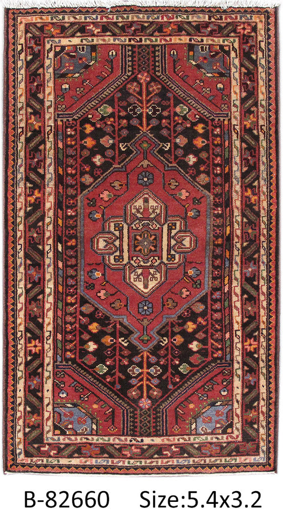 3.2 x 5.5 Persian Hamadan Afshar Rug #PIX-82660