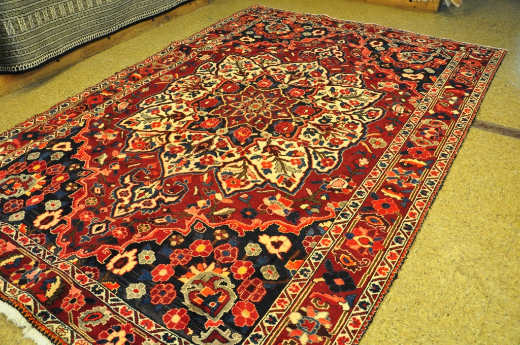 6.11 x 10.3 Persian Tribal Bakhtiar Rug #PIX-28968