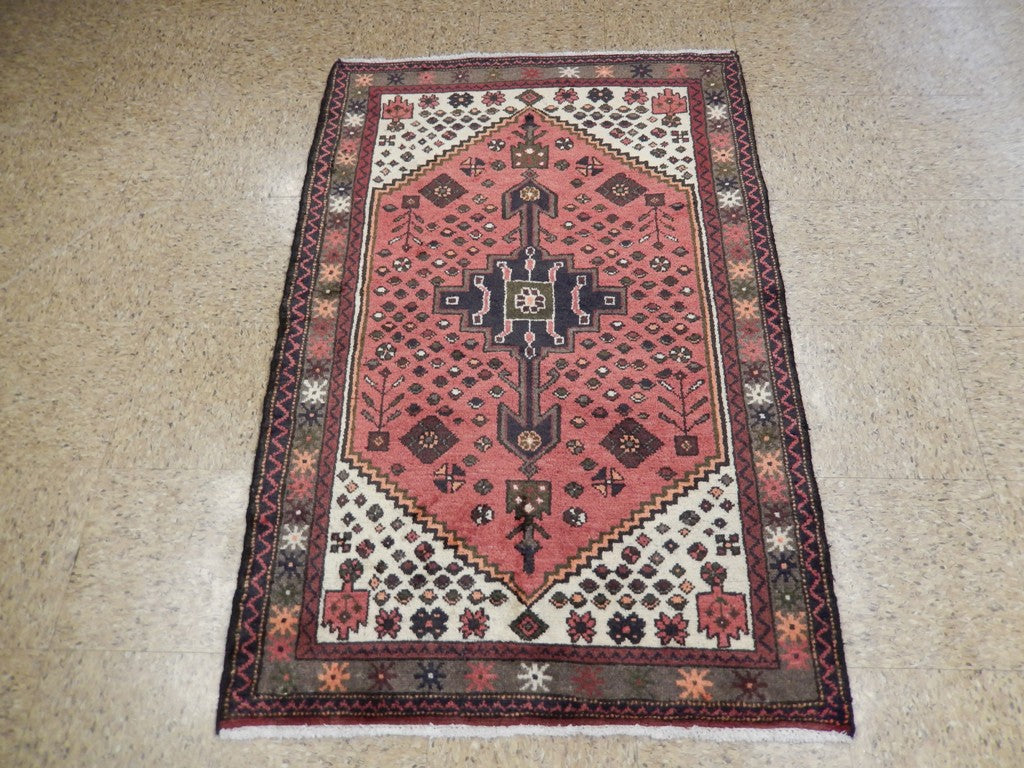 3.2 x 4.9 Persian Hamadan Rug Pink #PIX-21249
