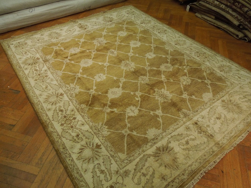 8 x 9.8 New Hand-Knotted Agra Rug Transitional Olive #PIX-20031