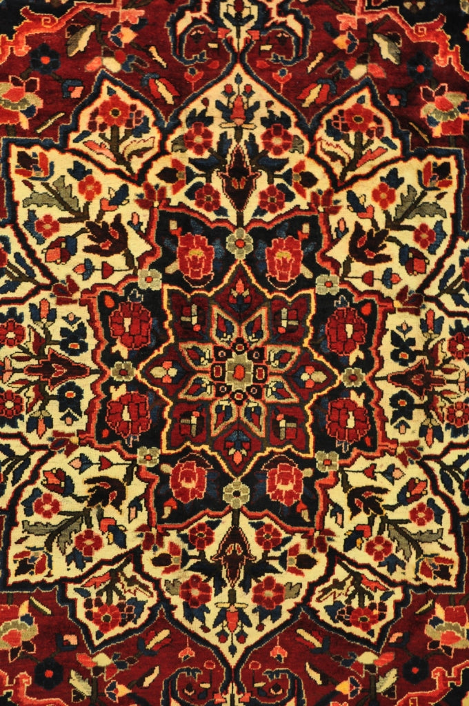 6.11 x 10.3 Persian Tribal Bakhtiar Rug #PIX-28968