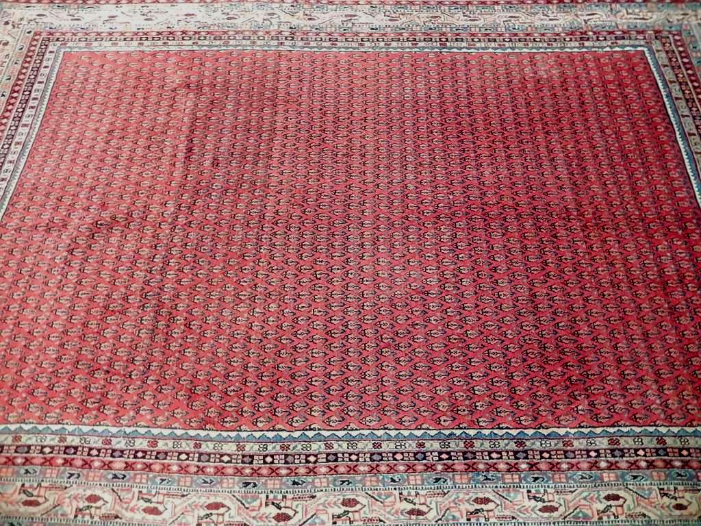 6.11 x 10.8 Persian Mir Saraband Herati Sarouk Rug #B-72070