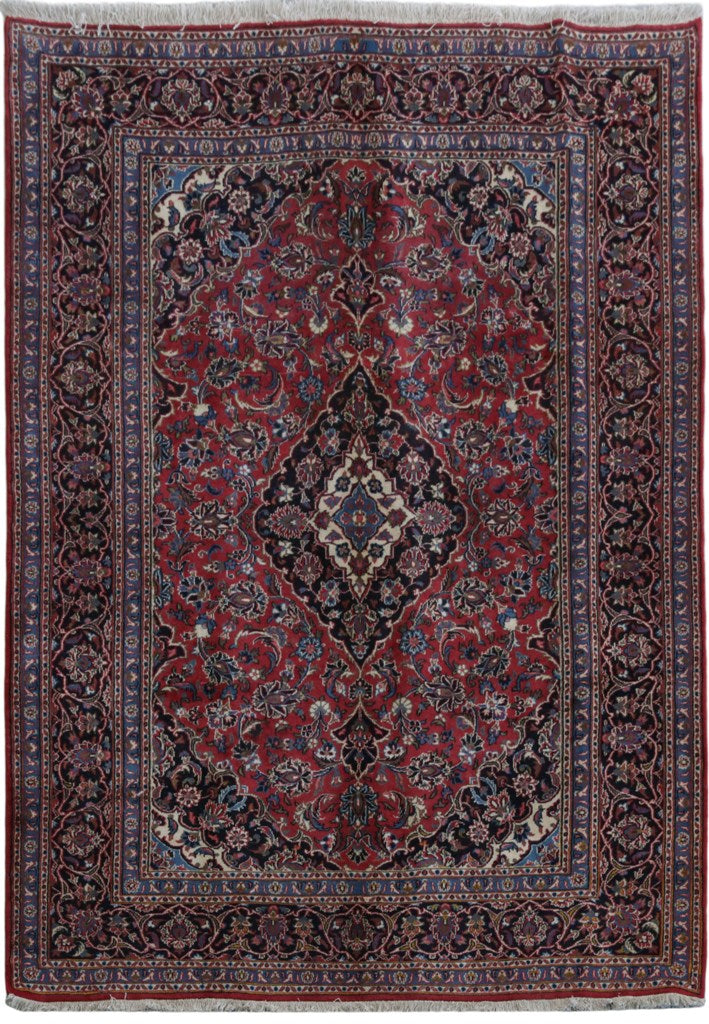6.7 x 9.4 Premium Persian Traditional Woo Hamadan Rug