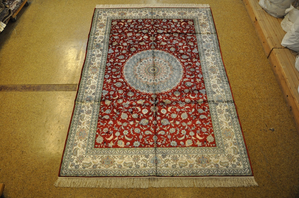 6 x 9 Traditional Persian Decorative Wool Timeless Style  Home Rug