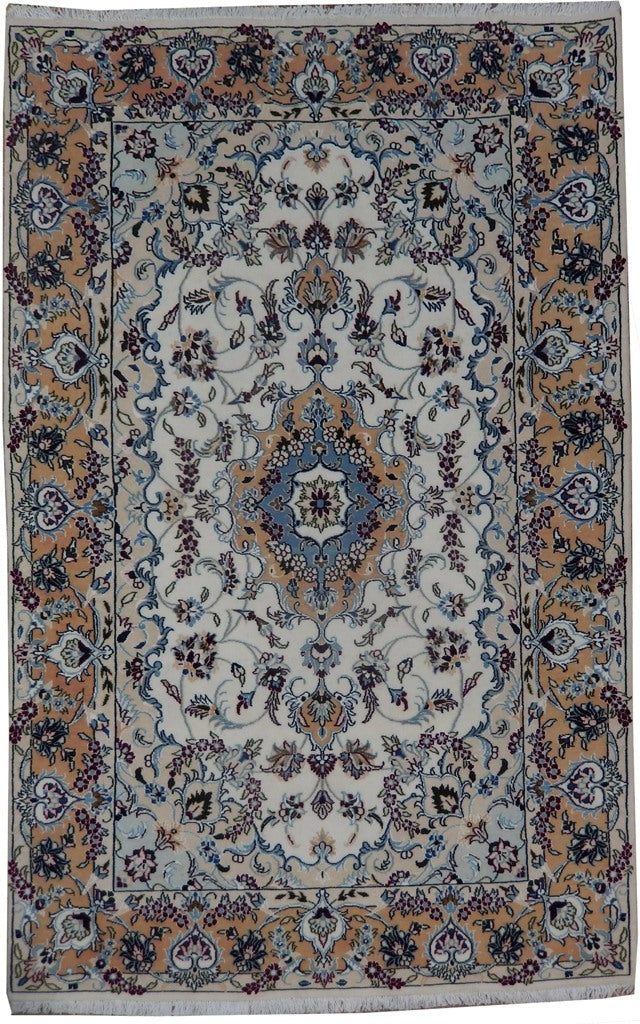 4 x 6.8 Transitional Classic Persian Pattern Timeless Style Rug
