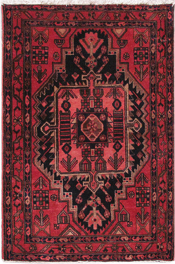 3.5 x 5 Iran Tribal Hamadan Rug #PIX-82676