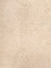 Load image into Gallery viewer, Chobi-Peshawar-Rug.jpg
