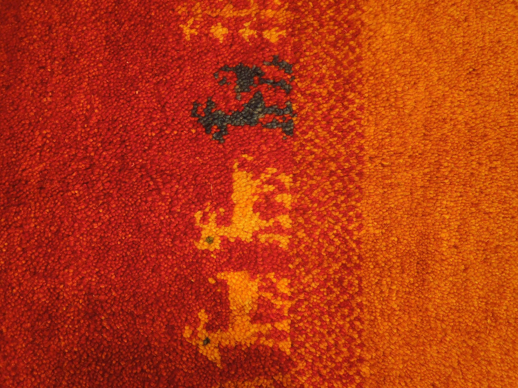 6 x 9 Multi Color Contemporary Gabbeh Rug #B-74958