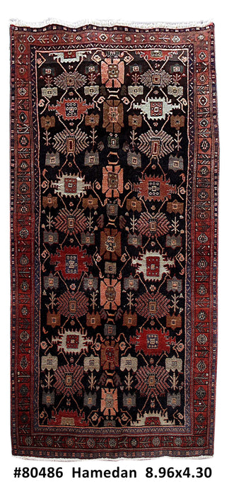 4x9 Authentic Hand Knotted Persian Hamadan Rug - Iran - bestrugplace