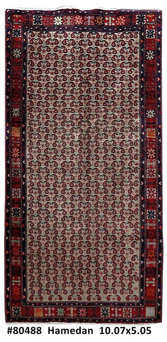 5x10 Authentic Hand Knotted Persian Hamadan Rug - Iran - bestrugplace