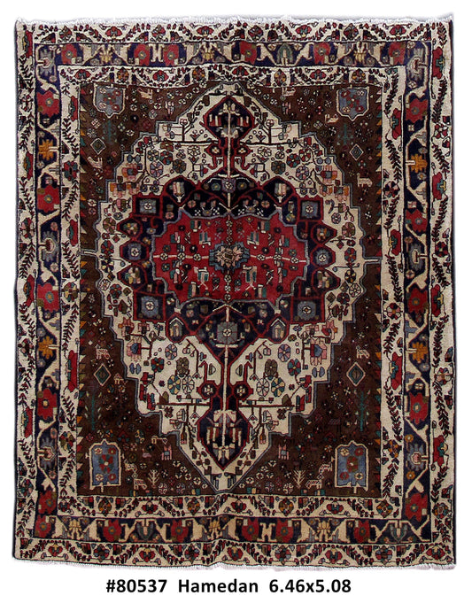 5x7 Authentic Hand Knotted Persian Hamadan Rug - Iran - bestrugplace