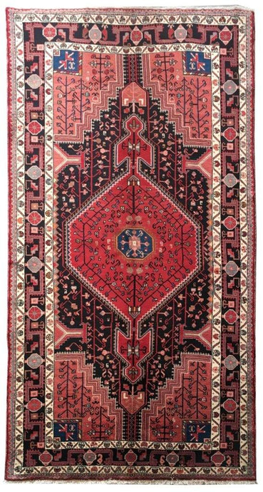 5x9 Authentic Hand-knotted Persian Hamadan Rug - Iran - bestrugplace