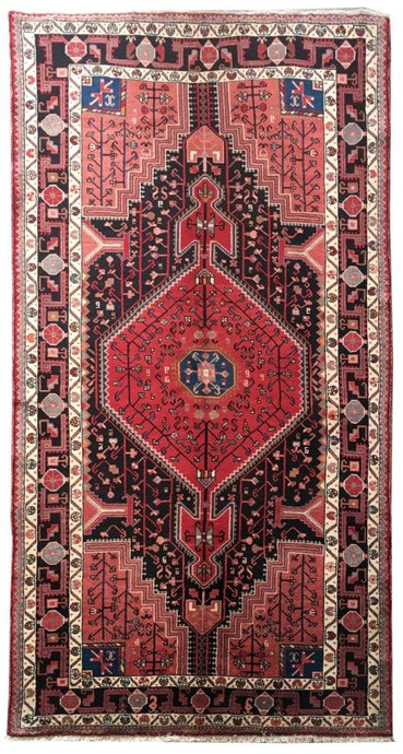 5x9 Authentic Hand-knotted Persian Hamadan Rug - Iran - bestrugplace