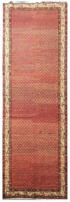 5' x 14'-Orange-Persian-Hamadan-Rug.jpg