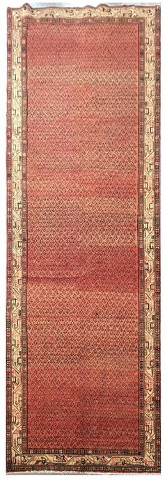 5x14 Authentic Hand-knotted Persian Hamadan Rug - Iran - bestrugplace