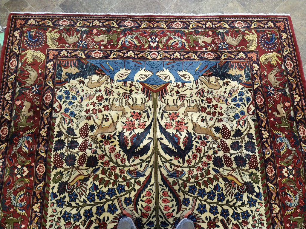 6.9 x 10.4 Persian Bakhtiar Rug TREE OF LIFE #5030