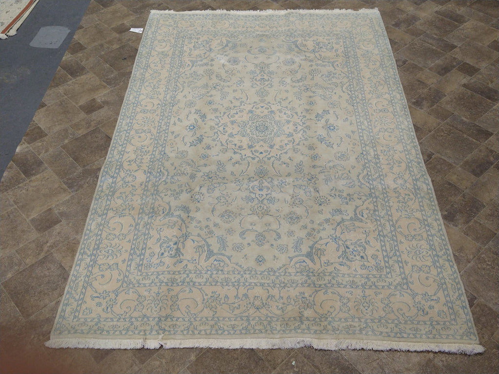 6.6 x 9.6 Persian Tabriz Rug Pale Colors #5061