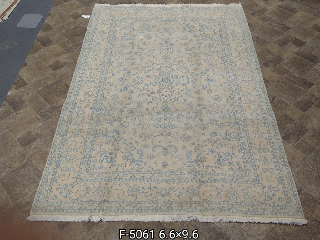 6.6 x 9.6 Persian Tabriz Rug Pale Colors #5061