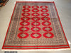 Load image into Gallery viewer, 6 x 8 Rug RED FINE WOOL Hand-knotted Pakistan Carpet #5310