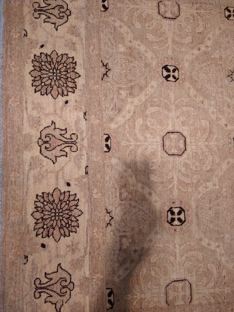 6 x 9 New Handmade rug Transitional Neutral Decorative #5370