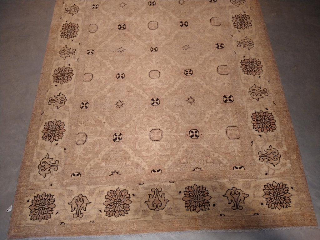 6 x 9 New Handmade rug Transitional Neutral Decorative #5370